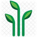 Planta  Icono