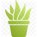 Planta Icono