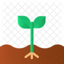 Estropear La Planta Planta Naturaleza Icono