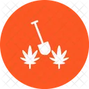 Plantation Seed Plant Icon