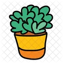 Indoor Plant Planting Icon