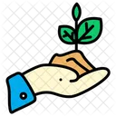 Plants  Icon