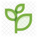 Plants  Icon