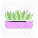 Plants with sharp leaves growing in pot  Icon