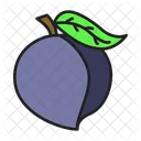 Plum Food Vegetable Icon