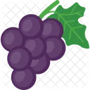 Plum Purple Fruit Icon