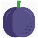 Plum  Icon