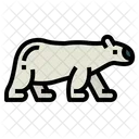 Polar Bear  Icon