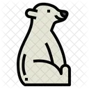 Polar Bear  Icon