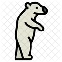 Polar Bear  Icon