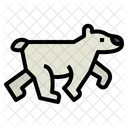 Polar Bear  Icon