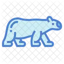 Polar Bear  Icon