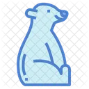 Polar Bear  Icon