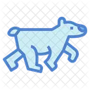 Polar Bear  Icon