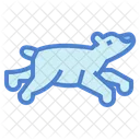 Polar Bear  Icon