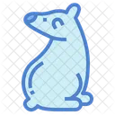 Polar Bear  Icon