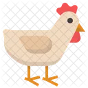 Pollo  Icono