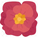 Poppies Flower Blossom Symbol