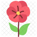 Poppy Poppy Flower Spring Symbol