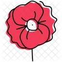 Poppy Flower Floral Symbol