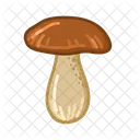 Porcini  Icon