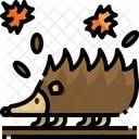 Porcupine Animal Hedgehog Icon