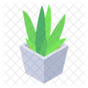 Home Plant Potted Plant Houseplant Icon