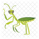 Praying Mantis Icons Cute Mantis Mantodea Icon