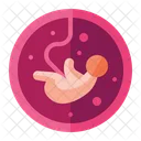 Pregnancy Baby Fetus Icon