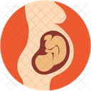 Baby Womb Pregnant Icon