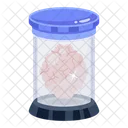 Brain Preserved Brain Brain Jar Icon