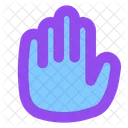 Privacy  Icon