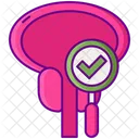 Prostate Check Prostate Examination Checkup Icon