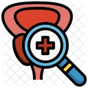 Prostate Check  Icon