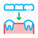 Dental Prosthesis Stomatology Icon