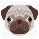 Pug  Icon