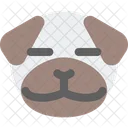 Pug Closed Eyes  Icon