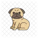 Pug Animal Pet 아이콘