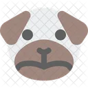 Pug Frowning  Icon