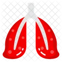 Pulmonary Organs Respiratory Organs Breathing Apparatus Icon