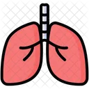 Los Pulmones Anatomia Pulmon Icono