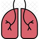 Pulmonology Lungs Anatomy Icon