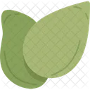 Pumpkin Seed Grain Icon