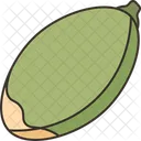 Pumpkin Seed  Icon