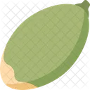 Pumpkin Seed  Icon