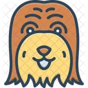 Puppy Dog Hairy Icon