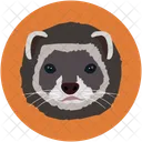 Pussycat Veterinary Pet Icon