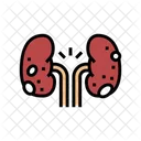 Pyelonephritis  Icon