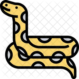 Pythons  Icon