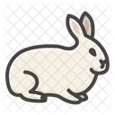 Rabbit Bunny Hare Icono